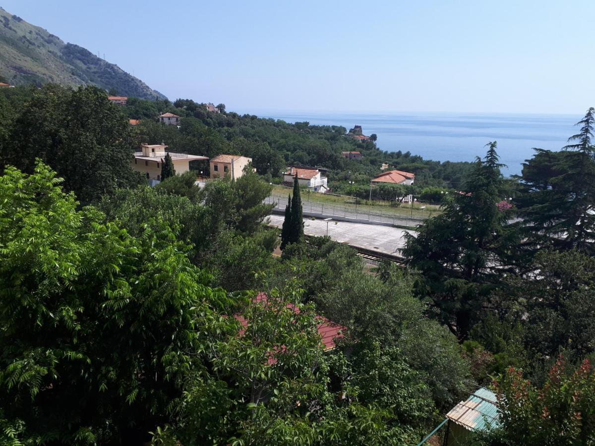 B&B Maratea Vacanze Экстерьер фото